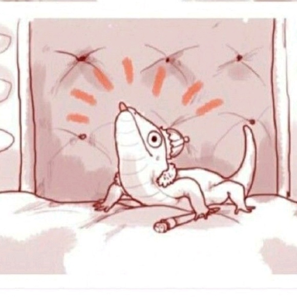 Meet your Posher, Dakota - Picture 1 of 1